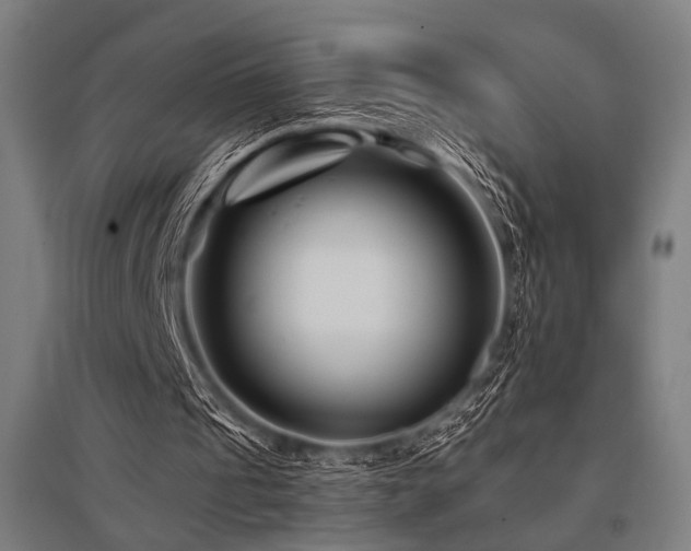 X0000096170241200801181256