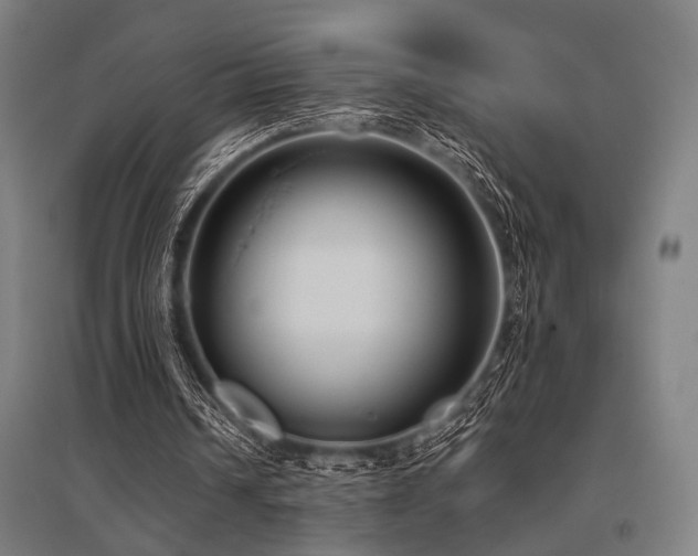 X0000096170242200801181256