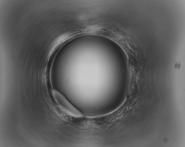 X0000096170244200801181256