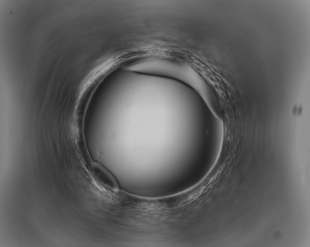 X0000096170245200801181256