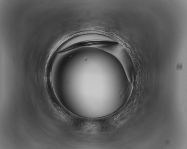 X0000096170248200801181256