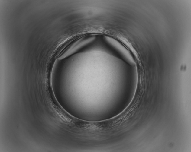 X0000096170249200801181256