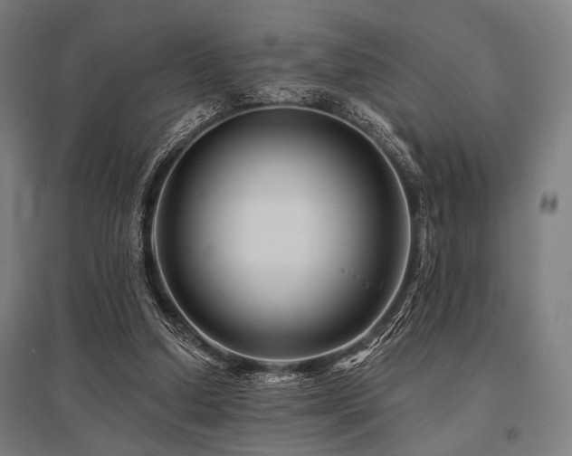 X0000096170250200801181256