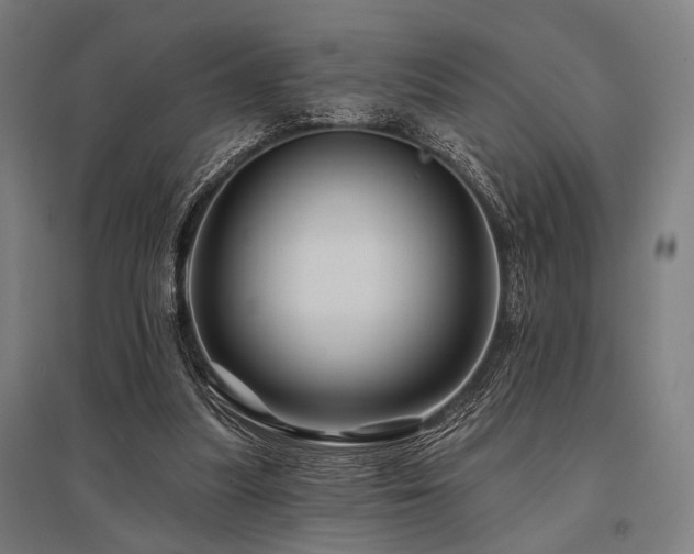 X0000096170251200801181256