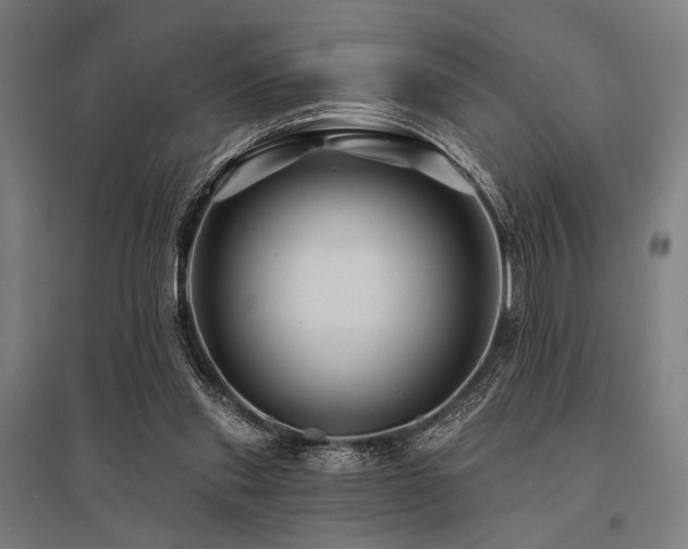 X0000096170253200801181256