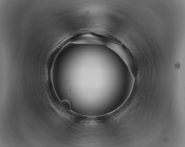 X0000096170254200801181256