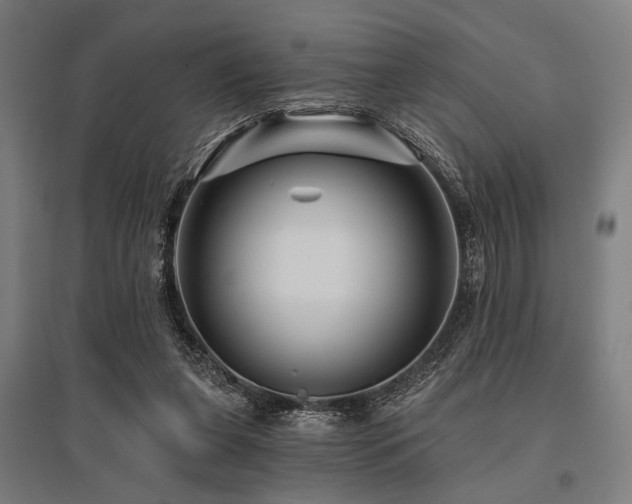 X0000096170255200801181256