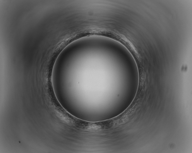 X0000096170257200801181256