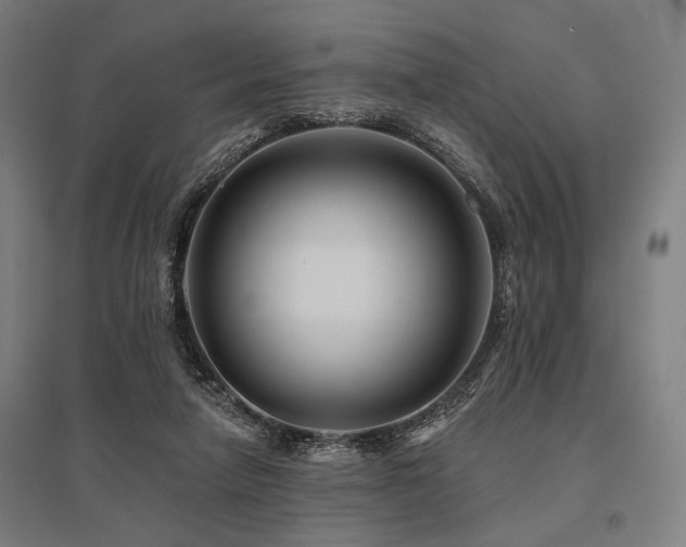 X0000096170258200801181256