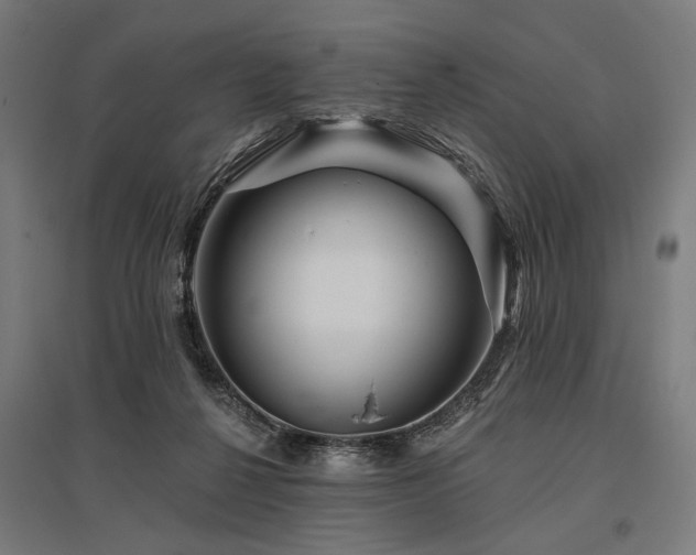 X0000096170264200801181257