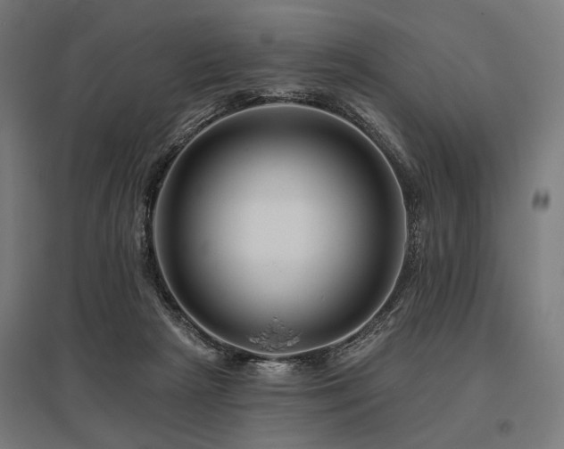 X0000096170265200801181257