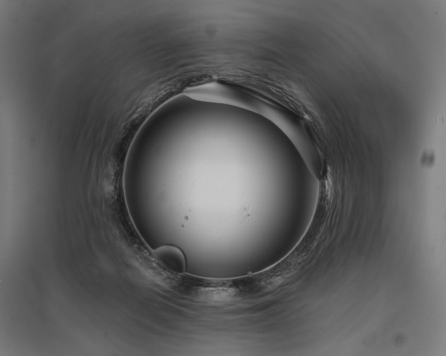 X0000096170266200801181257