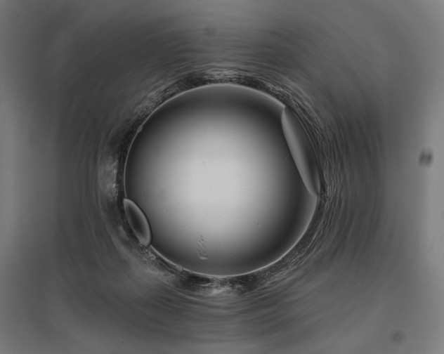 X0000096170267200801181257