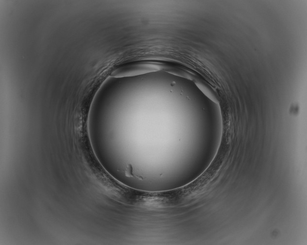 X0000096170268200801181257