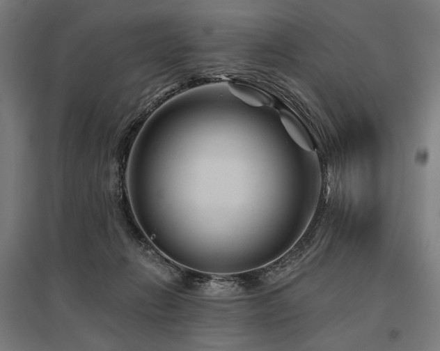 X0000096170270200801181257
