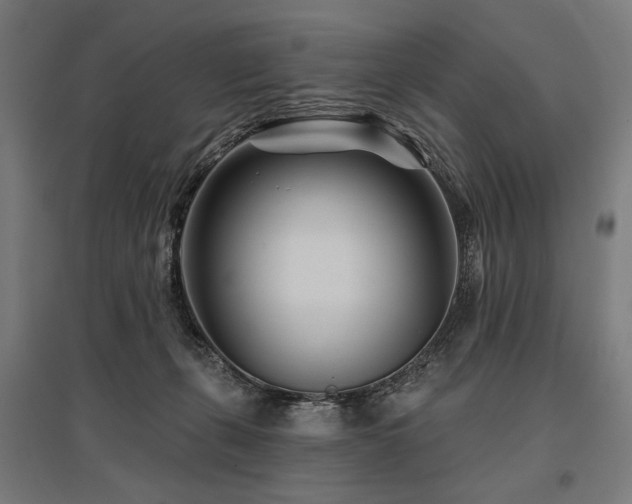 X0000096170271200801181257