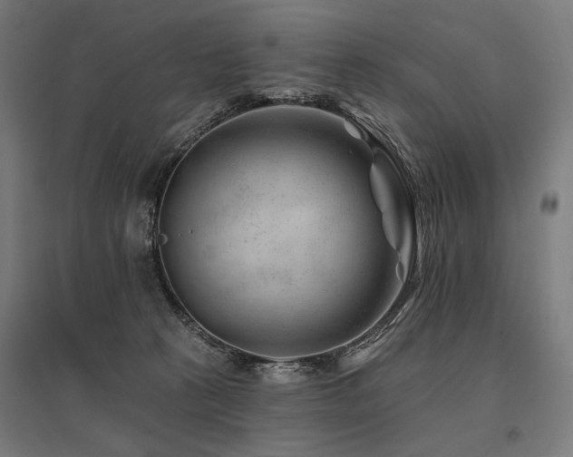X0000096170273200801181257
