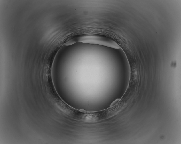 X0000096170275200801181257