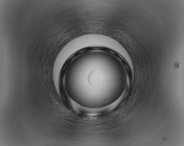 X0000096170276200801181257