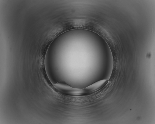 X0000096170277200801181257