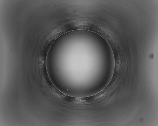 X0000096170278200801181257