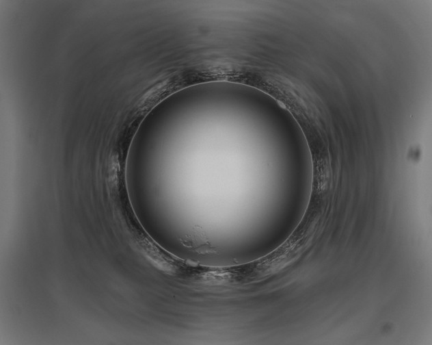X0000096170279200801181257