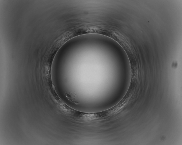X0000096170281200801181257