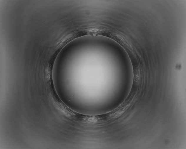 X0000096170282200801181257