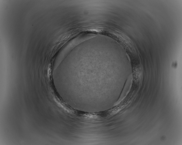 X0000096170284200801181257