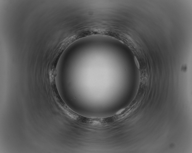 X0000096170285200801181257