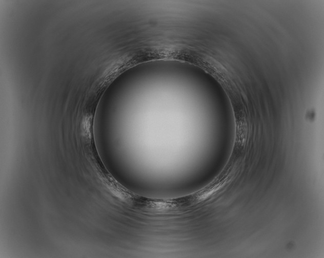 X0000096170286200801181257