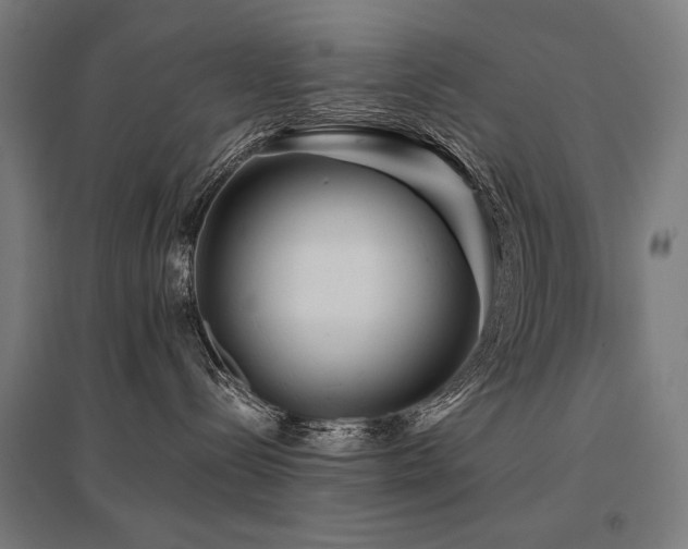 X0000096170288200801181257