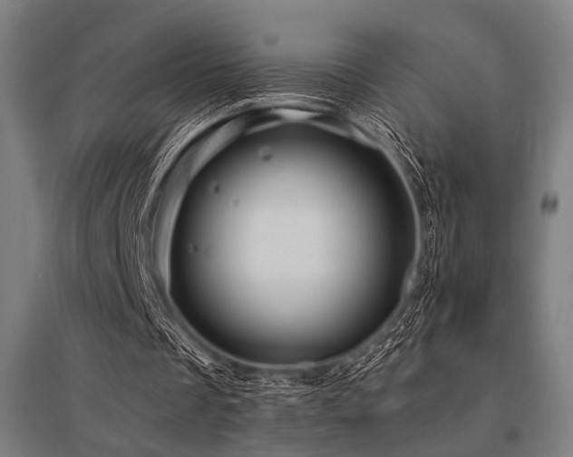 X0000096170289200801181256