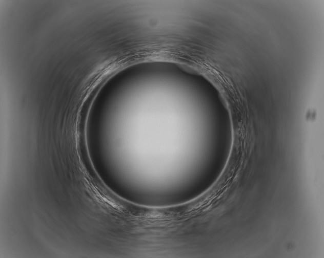 X0000096170290200801181256