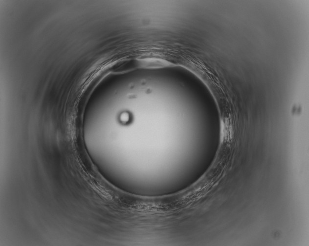 X0000096170291200801181256
