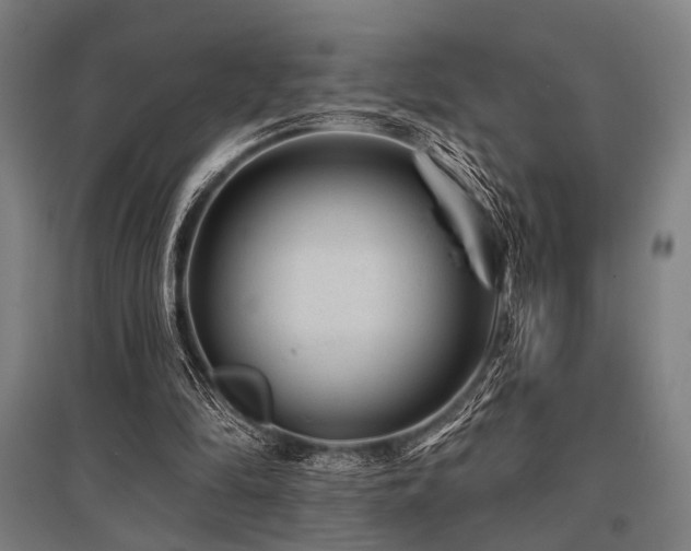 X0000096170294200801181256