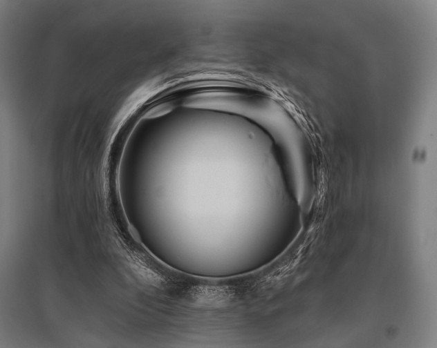 X0000096170296200801181256