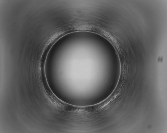 X0000096170298200801181256
