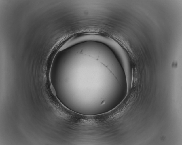 X0000096170300200801181256