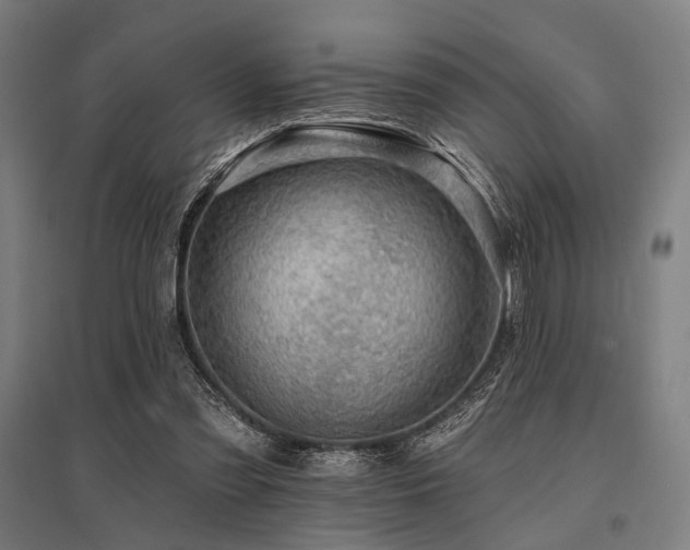 X0000096170301200801181256
