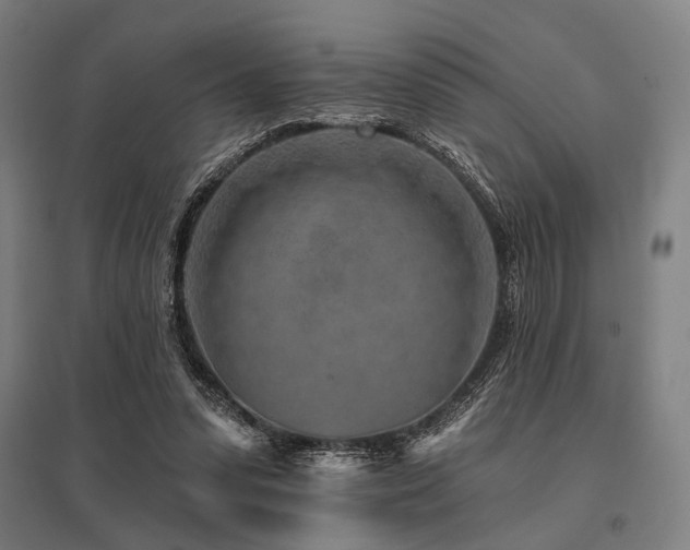 X0000096170303200801181256