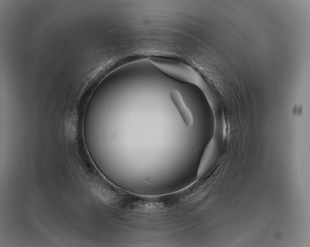 X0000096170304200801181256