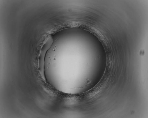 X0000096170307200801181256