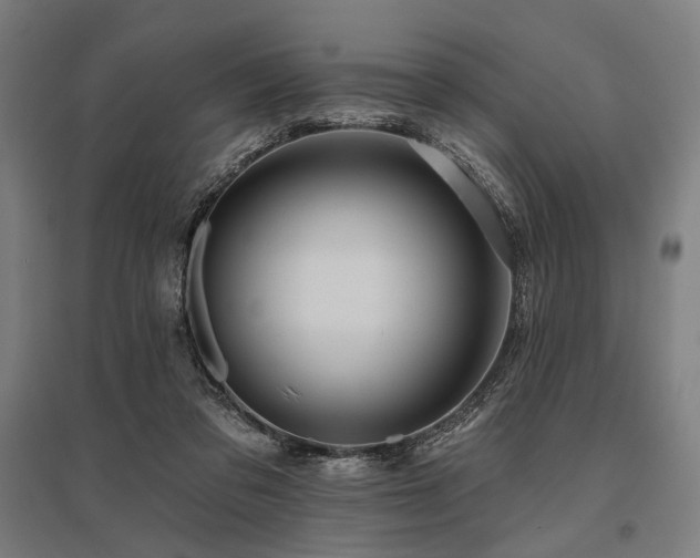 X0000096170309200801181256