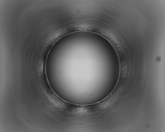 X0000096170310200801181256