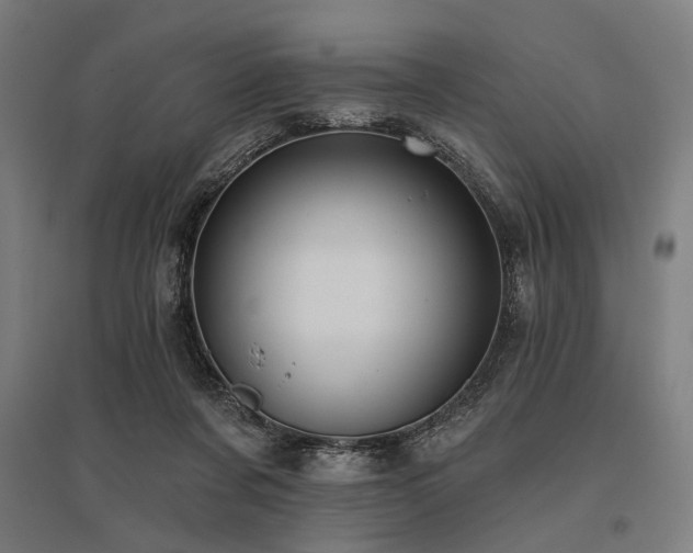 X0000096170311200801181256