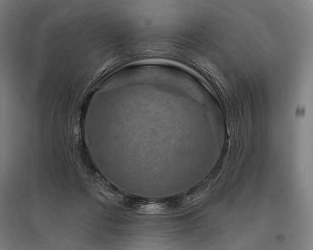 X0000096170312200801181256