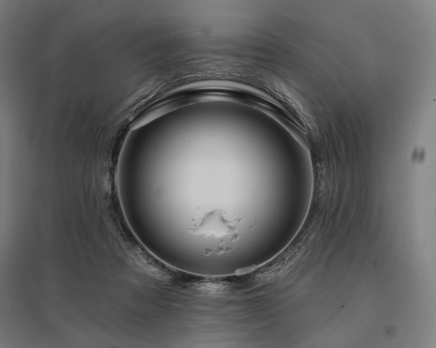 X0000096170313200801181256