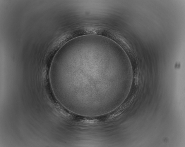 X0000096170314200801181256