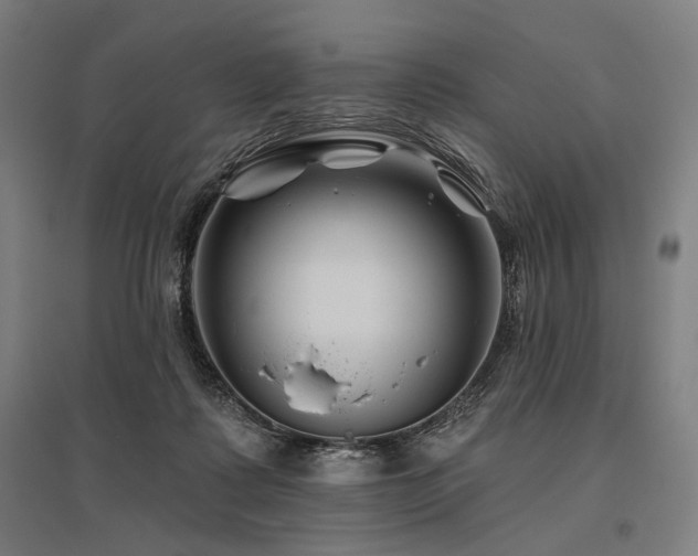 X0000096170315200801181256